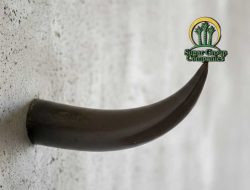 Triga Lampung Desak Ukur Ulang Eks HGU SGC Guna Memastikan Tidak Ada Lagi Konflik Agraria Kedepan