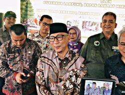 Muli Sikop dan Puspa, Dua Anak Harimau Sumatra Lahir di Lampung Jadi Simbol Harapan Konservasi