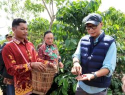 Pupuk Hayati Cair Jadi Andalan Gubernur Mirza Tingkatkan Daya Saing Kopi Lampung